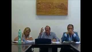 preview picture of video 'Consiglio Comunale 16 luglio 2014'