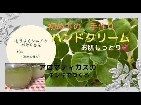 ベルタルハの利点、レシピ、ヒント、ケア