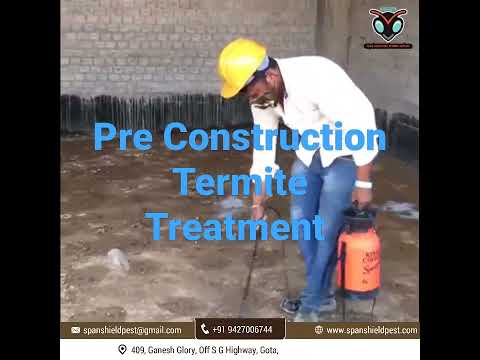 Anti Termite Treatment Pest Control Services