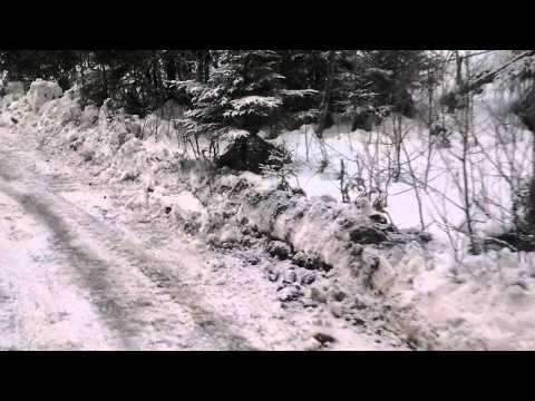 Marko Pohja Oy / Mek-Trans Oy