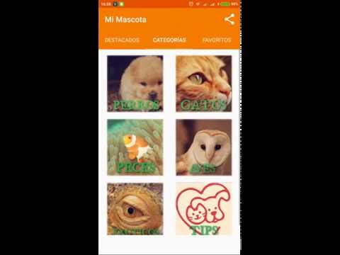 Medicina Natural Canina Video