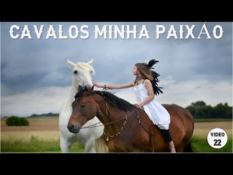 VEJA OS 10 CAVALOS MAIS BONITOS DO MUNDO | #10CavalosMaisBonitosDoMundo #Cavalosminhapaixão #Cavalos