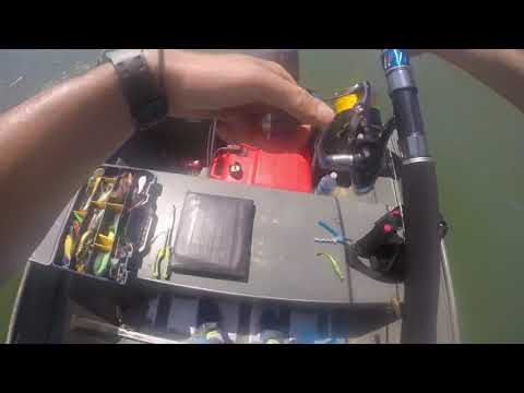 EBRO CATFISH SPINNING SALTIGA STELLA SW