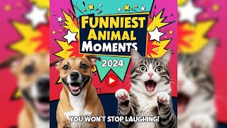 Crazy Animals fails Videos. Funniest Cats and Dogs Videos. Part 5