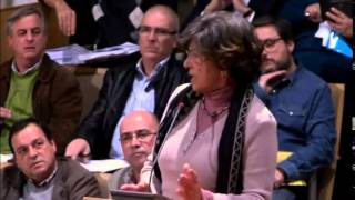 2014/03/24 - Zélia Correia sobre o Regulamento de espaços verdes municipal e protecção da árvore