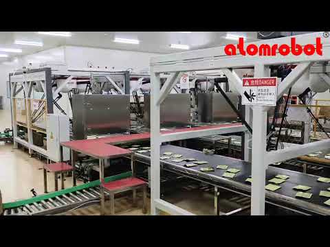 High speed Case packing solution by Atomrobot