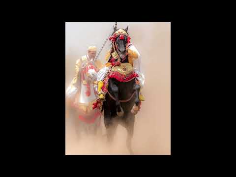 TIF X DRAGANOV Type Beat "BAROUD"