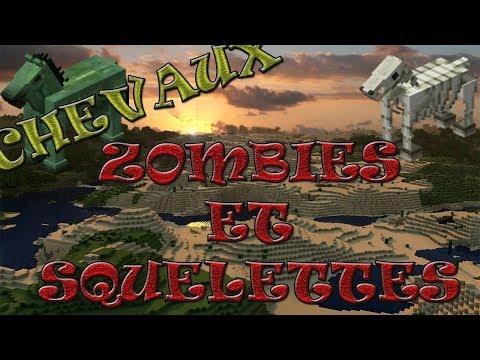 comment monter un squelette