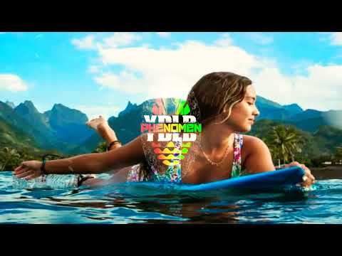 AICHA MASHUP | PHENOMEN SAH X VOLCOM NOX | BASS 2023