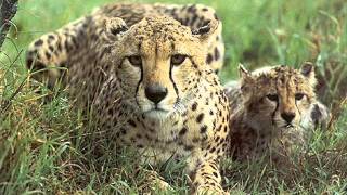 The Brotherhood (Moby) - Time's Up (CrazyJoyce Remake)