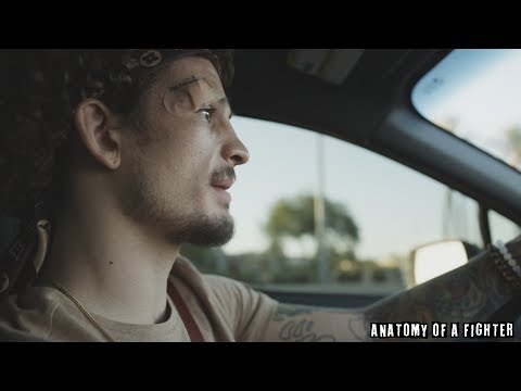 Anatomy of UFC 229: Khabib vs McGregor (Sean O'Malley Fighting Style)