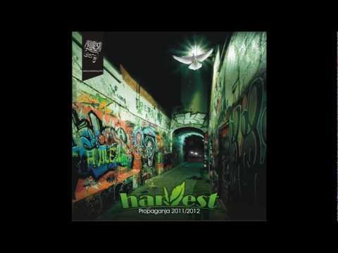 17. DRANIE -- SisterAli