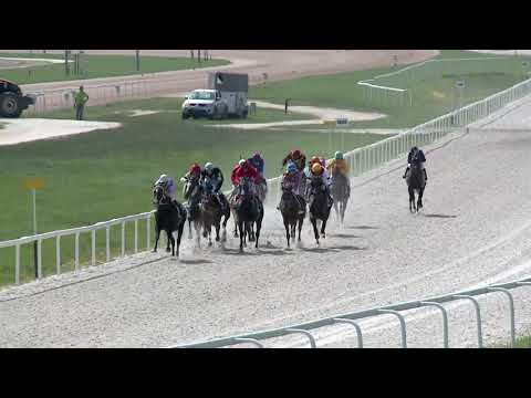 2019.06.09. 04. futam - ANABAA BLUE HENDIKEP (V/b.) (szintetikus pálya)