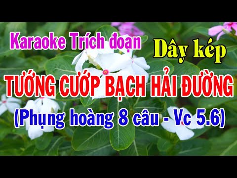 Karaoke trích đoạn TƯỚNG CƯỚP BẠCH HẢI ĐƯỜNG - DÂY KÉP [SOL#]