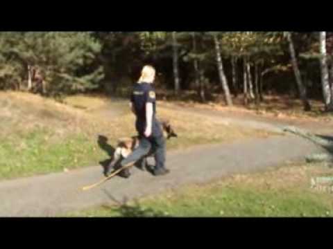 Roxy Malidaj - Bite work