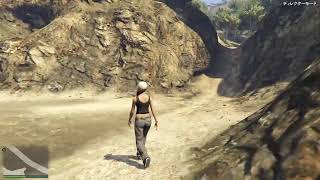 【作業用】ロスサントスの海を散歩【GTA5】
