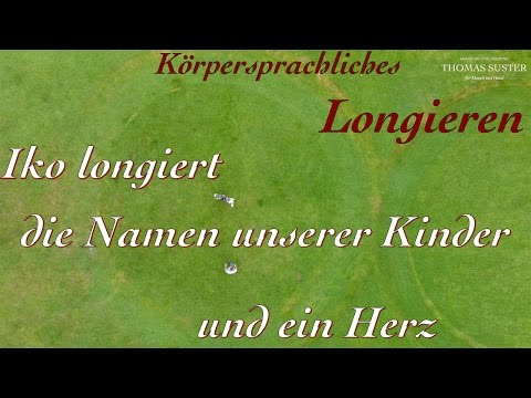 Freestyle Longieren mit Thomas Suster