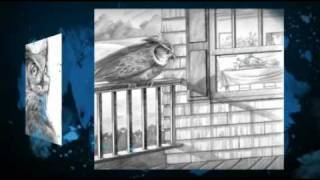 Jeremy Owl by Toni De Palma