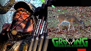 Deer Hunting: A Late Season Pattern Gets Deer in Range and Down! (#374) @GrowingDeer.tv