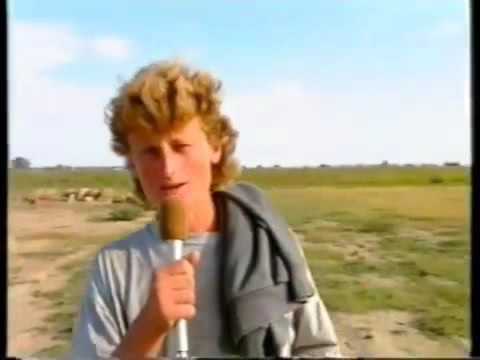 Αλβανός Βοσκός