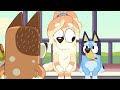 Bluey Soundtrack: We'll See