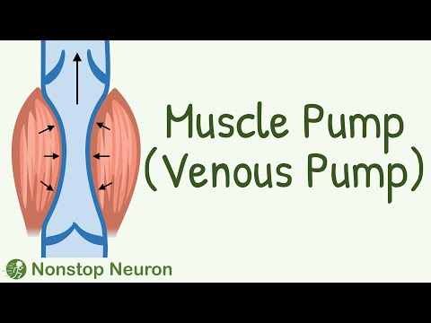 You Will Start DAILY EXERCISE After Watching This Video || Muscle Pump (Venous Pump)