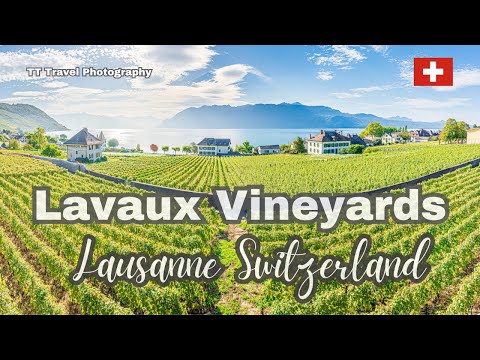 Lavaux Switzerland - Lavaux Vineyard Terraces - A unique landscape with stunning terraced vineyards