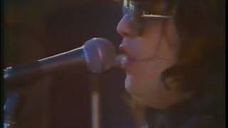 Girls On the Avenue - Richard Clapton (live Concert of the Decade 1979)