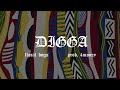 FLORAL BUGS - DIGGA (PROD. 4MONEY) (Official Video)