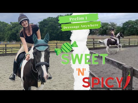 Sweet 'n' Spicy - attempting to film my dressage test