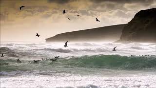 Um Céu, Um Sol E Um Mar  - Natiruts