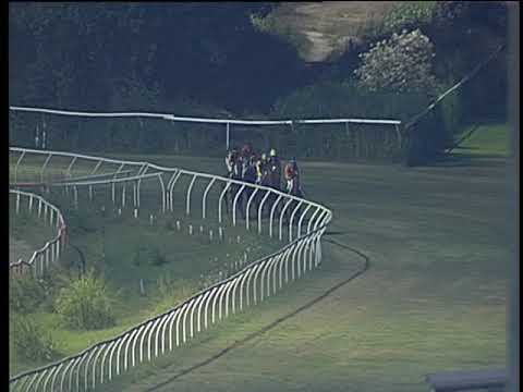 Galoppo 27/07/2019 - 5ª corsa