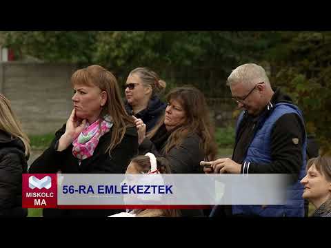 Videó előnézet