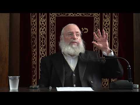 Rav Asher Weiss @TC: The Question of the Beis Yosef (Parshas Mikeitz 5786)