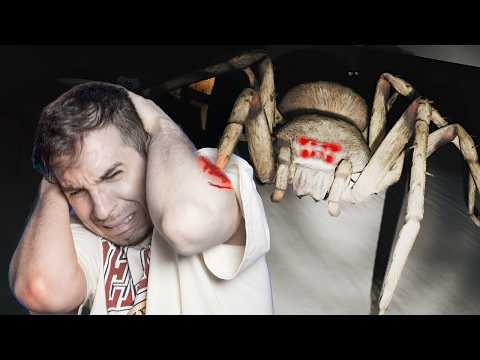 POV : There's A Giant Spider In Your Room(Huntsman)