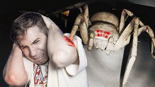 POV : There's A Giant Spider In Your Room(Huntsman)
