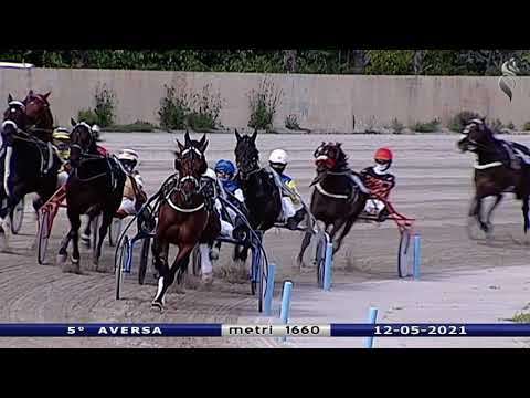 Aversa trotto 12 Maggio 2021 - 5° Corsa