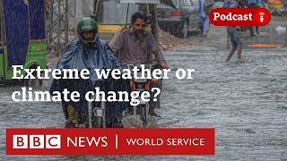 Climate change or just crazy weather? The Climate Question | BBC World Service