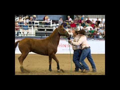 Katy Texas Walkabout Tour