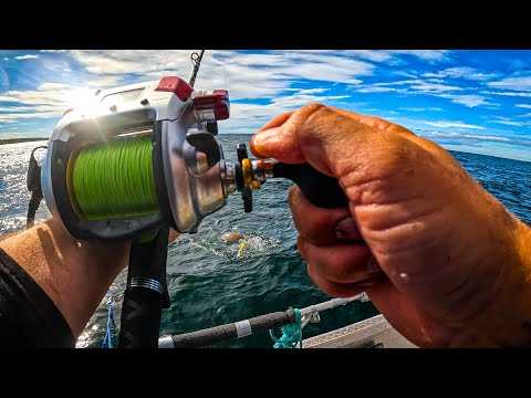 Mein Erstes Mal Leng & Lump Angeln in Norwegen Hitra