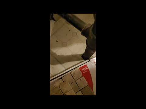 Mouse Problem in Asbury Park, NJ