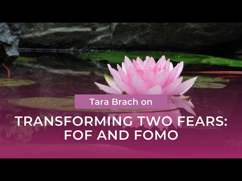 Transforming Two Fears: FOF and FOMO with Tara Brach