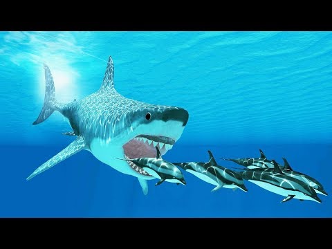 Podwodny Wszechświat - Drapieżcy z Głębin