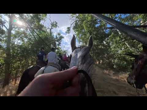 Encierro de campo en primera persona de los caballistas en Fuentepelayo