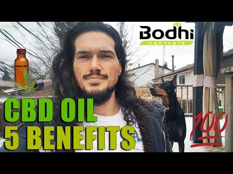 What is CBD Oil? 5 Benefits for Pain, Inflammation, Anxiety, and more! 🌿 Video