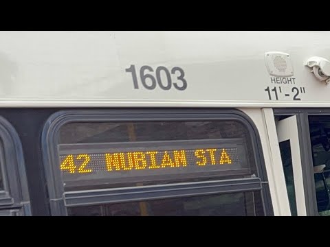 Boston Burgila! | Yoshi's Ride Series {S13-E20} - Riding the 42 🚌 - {MBTA}