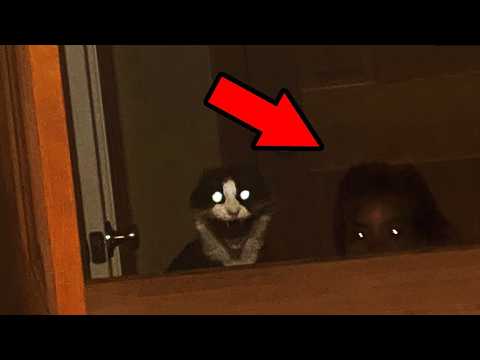 Real Horror Videos That Will Scare You!