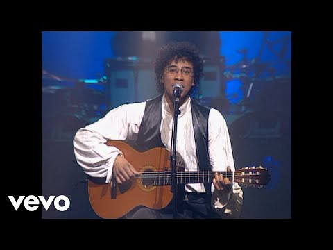 Laurent Voulzy - Le rêve du pecheur (Voulzy Tour au Zénith de Paris 1993)