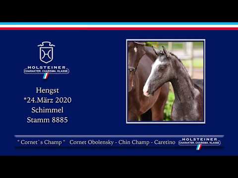 Holsteiner Online-Fohlenauktion 2020 - Cornet's Champ