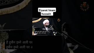 Download lagu Imam Hussain(as) ki ziyarat har roz kaise kare mp3